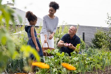 Atelier jardinage en Bretagne avec une famille récoltant des légumes dans un potager, expérience nature et découverte à La Gacilly – Destination Yves Rocher