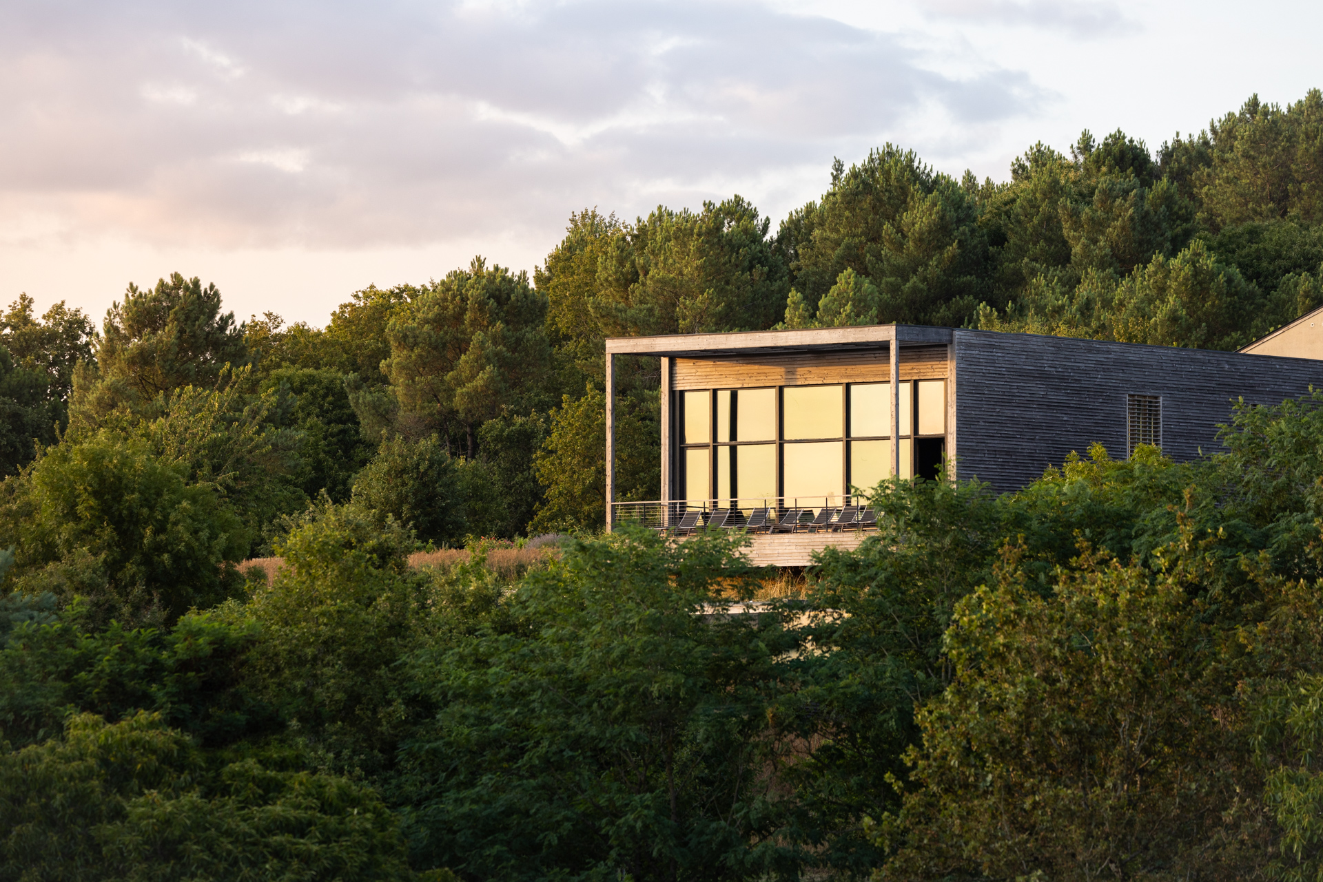 Bâtiment contemporain niché au cœur de la nature à La Gacilly, architecture moderne intégrée à la forêt bretonne au coucher du soleil – Destination Yves Rocher