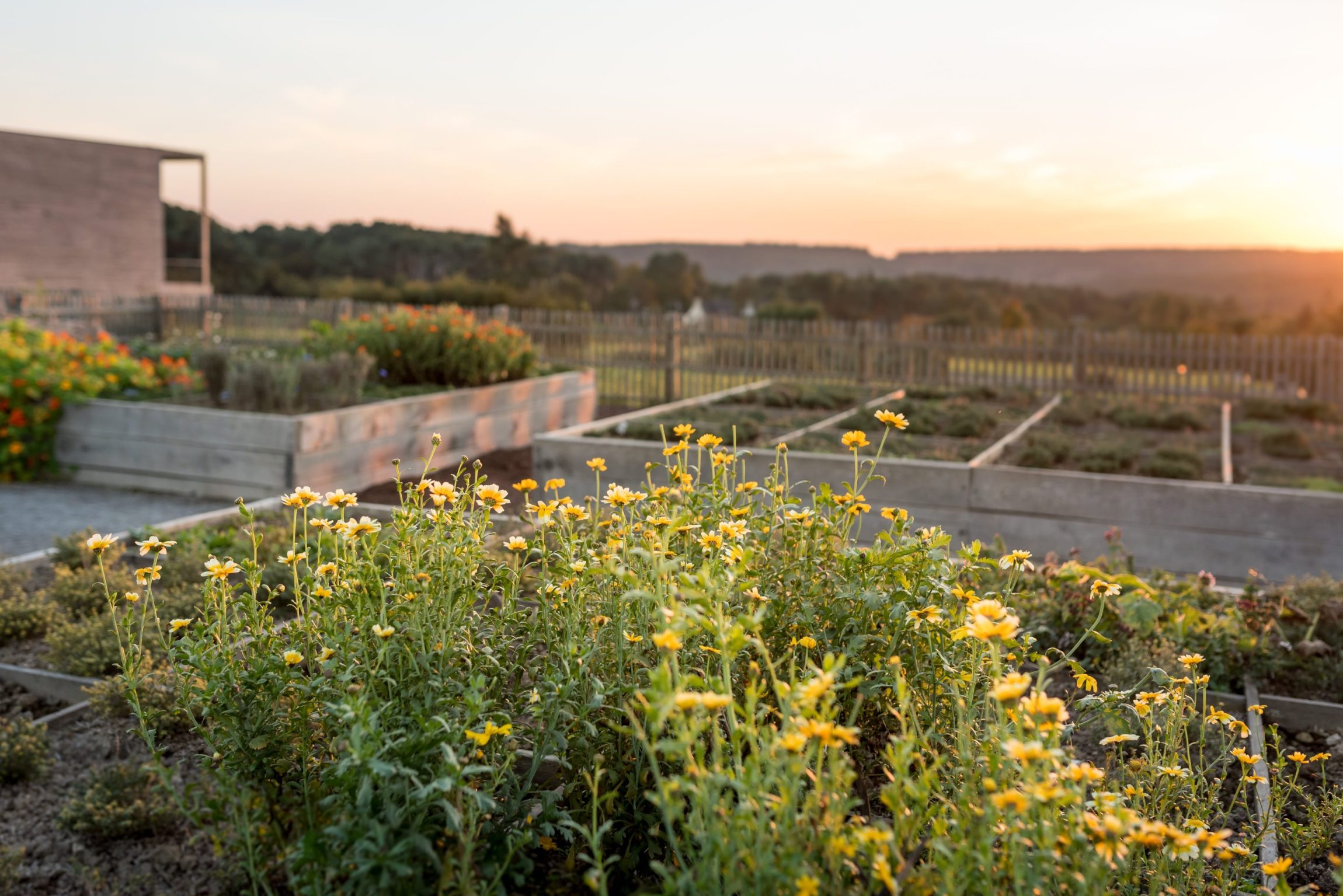 Potager en automne, Hôtel La Grée des Landes, La Gacilly