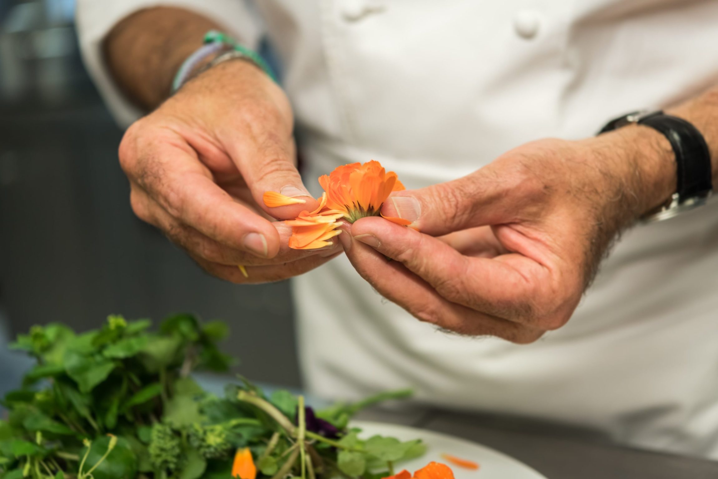 Team building atelier culinaire, La Gacilly, Bretagne