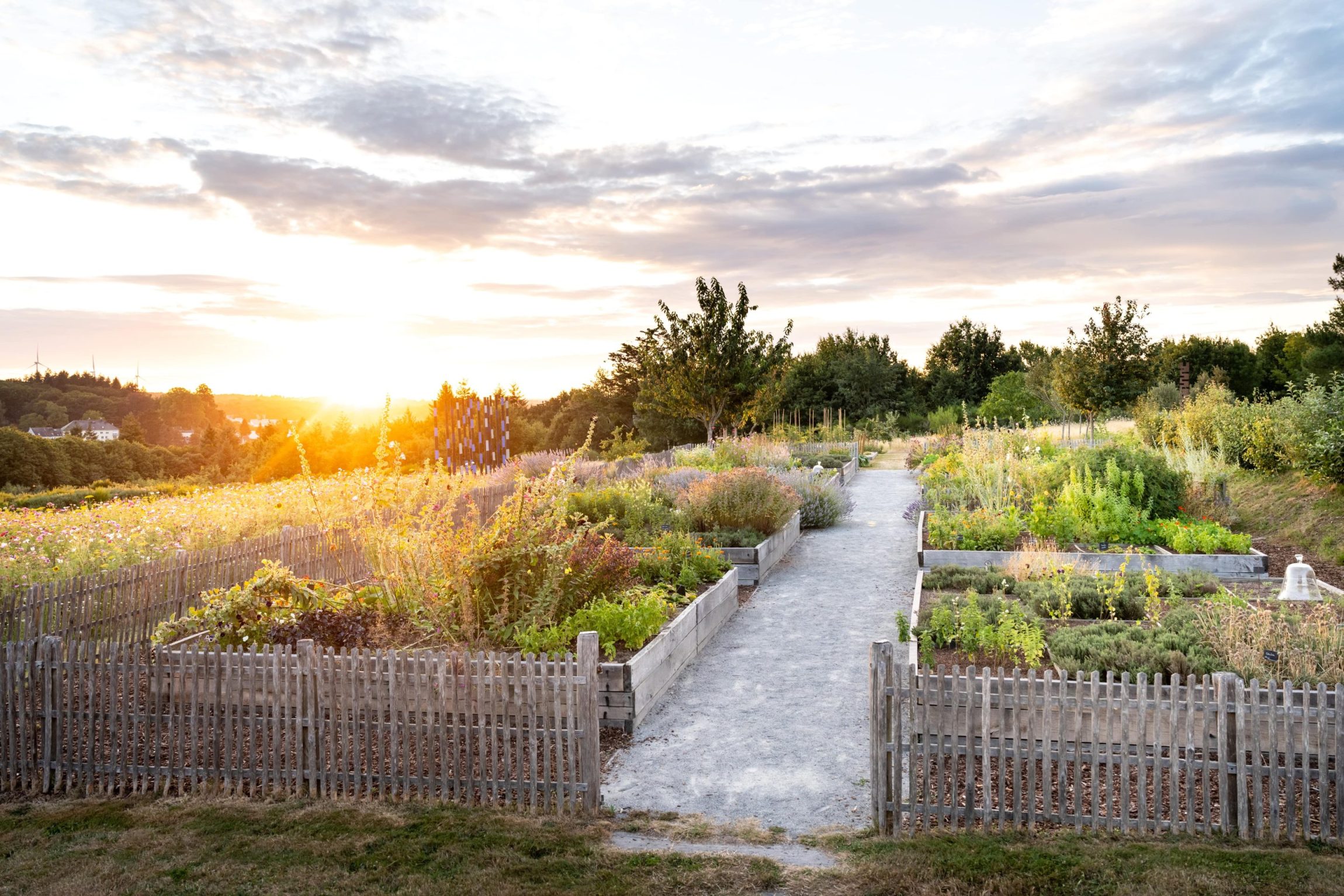 Potager de La Grée des Landes à La Gacilly