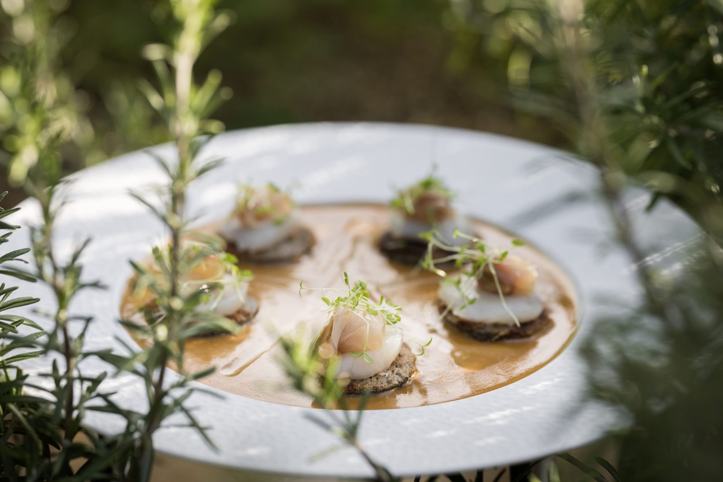 Assiette automne La Grée des Landes